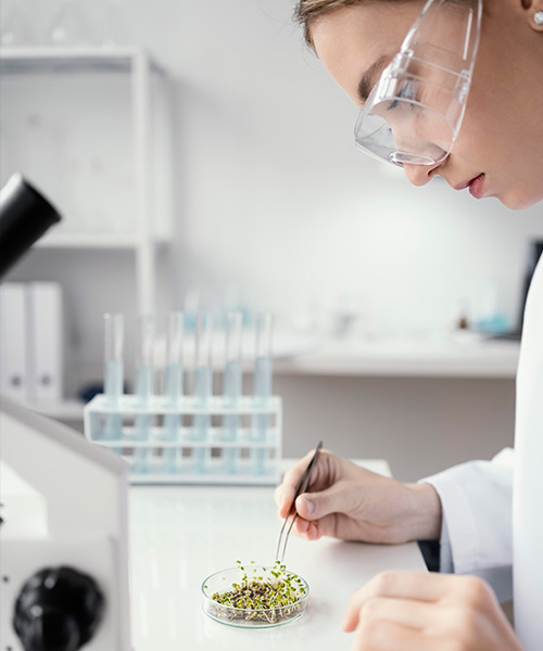 Ingeniería en Alimentos